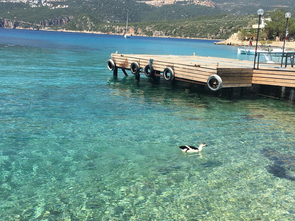 La Moda Beach Hotel Kaş Dış mekan fotoğraf